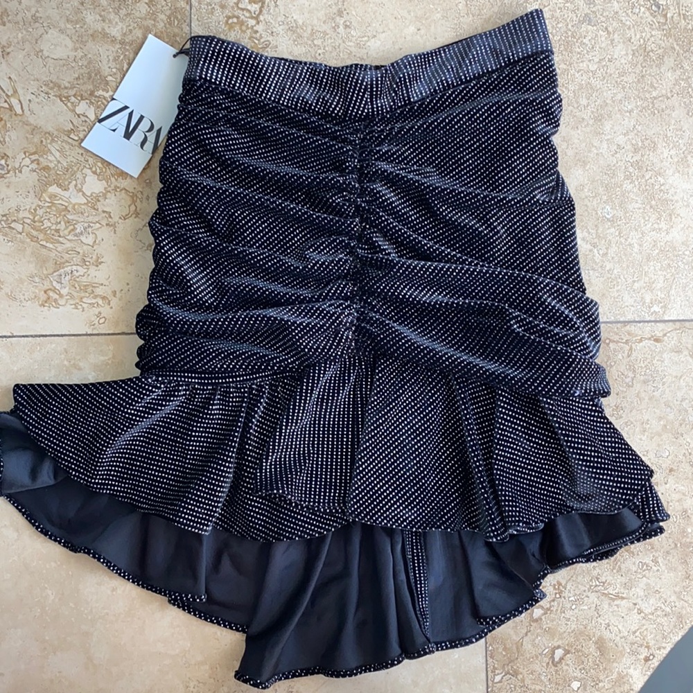 NWT Zara skirt